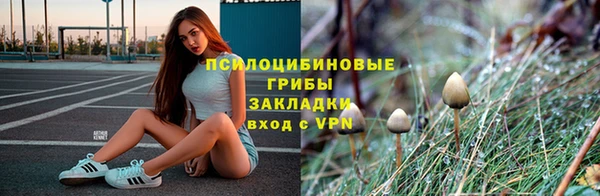 2c-b Алексин