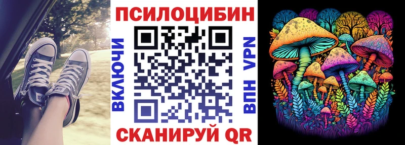 Псилоцибиновые грибы мицелий  где можно купить наркотик  Белгород 